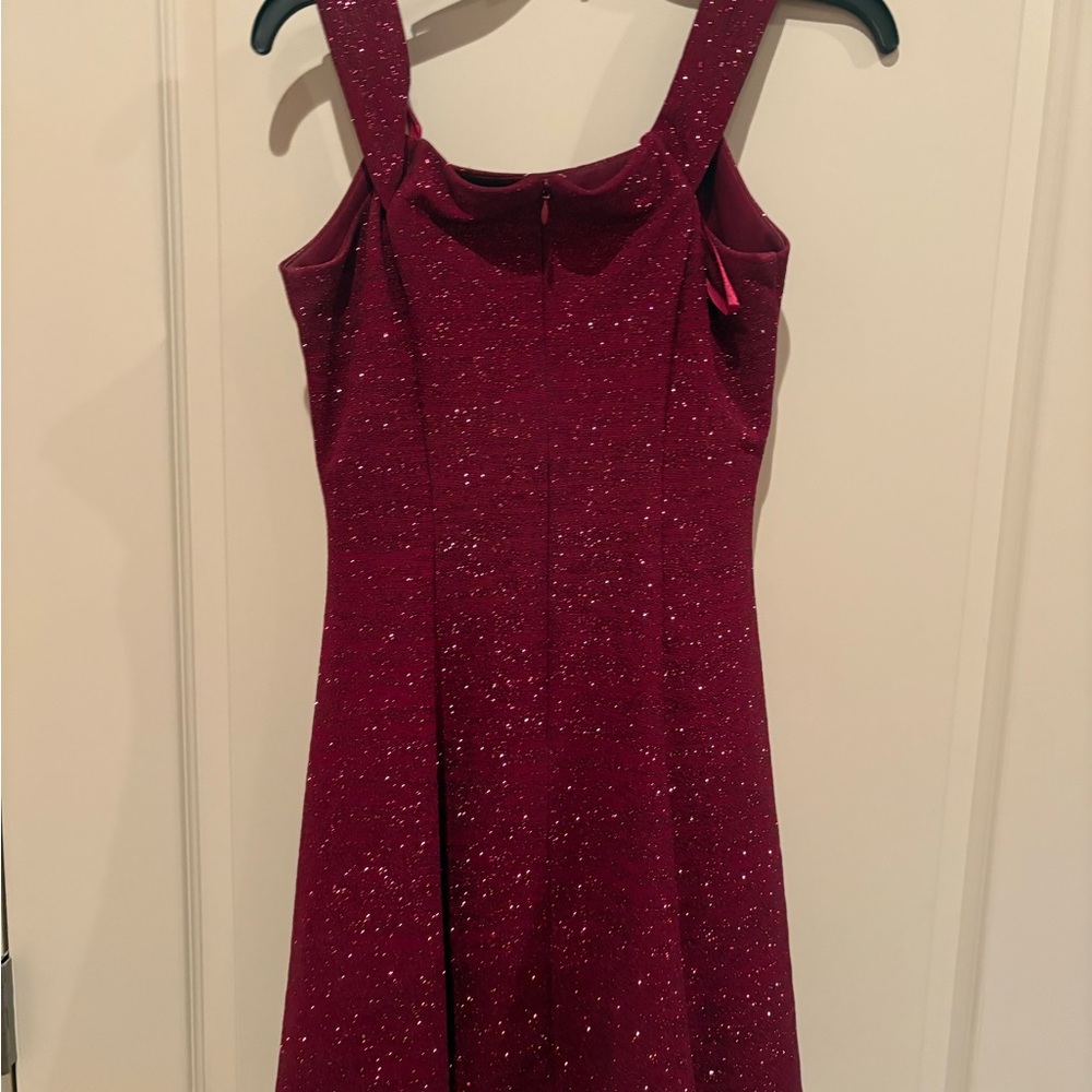 Betsy & Adam Sparkling Burgundy Mini Dress - Picture 4 of 5
